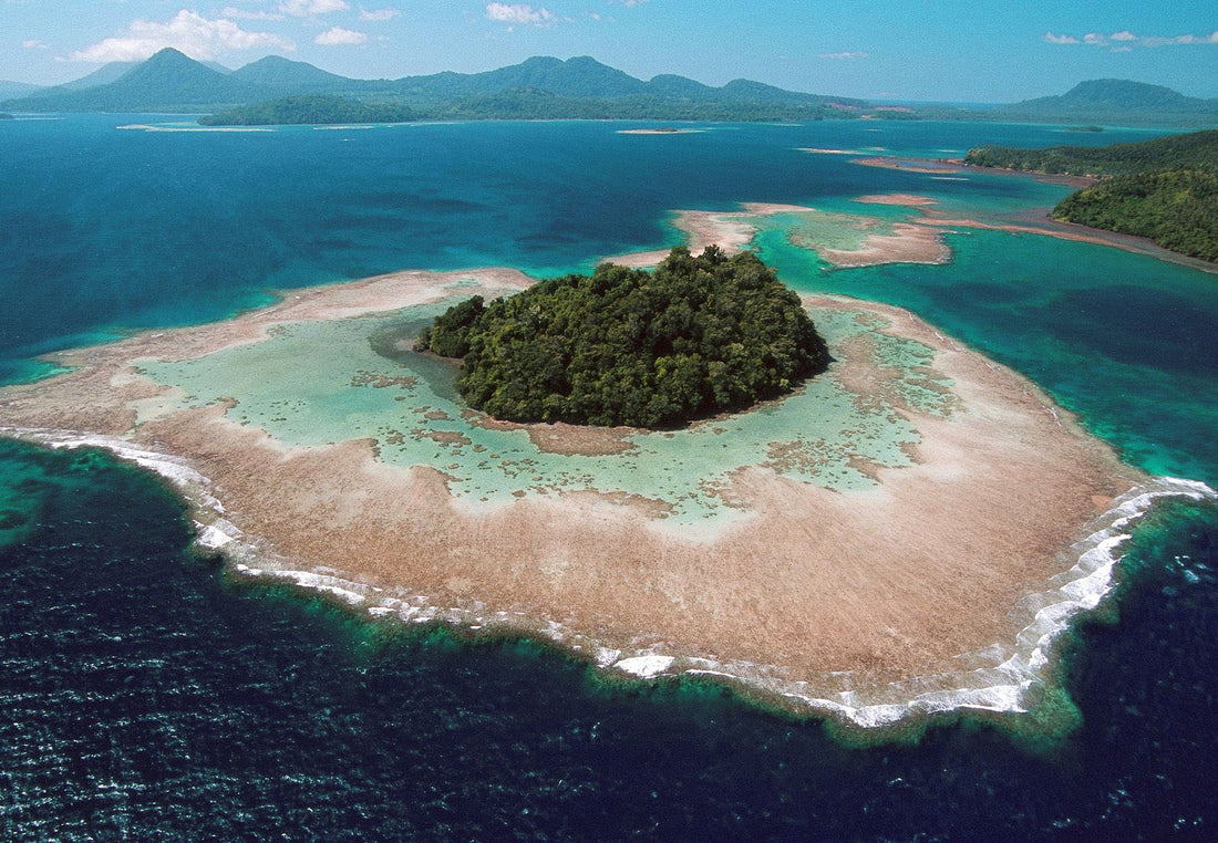 New Guinea and Kava